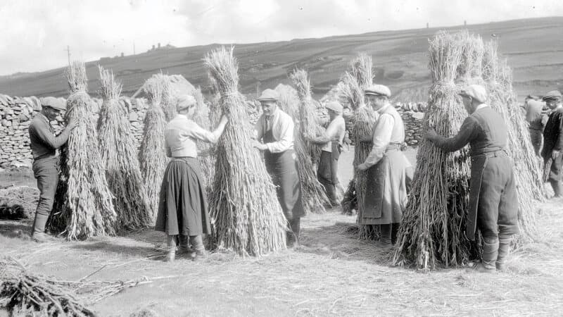 Thumbnail: Why Wales Needs a Hemp Economy in 2026